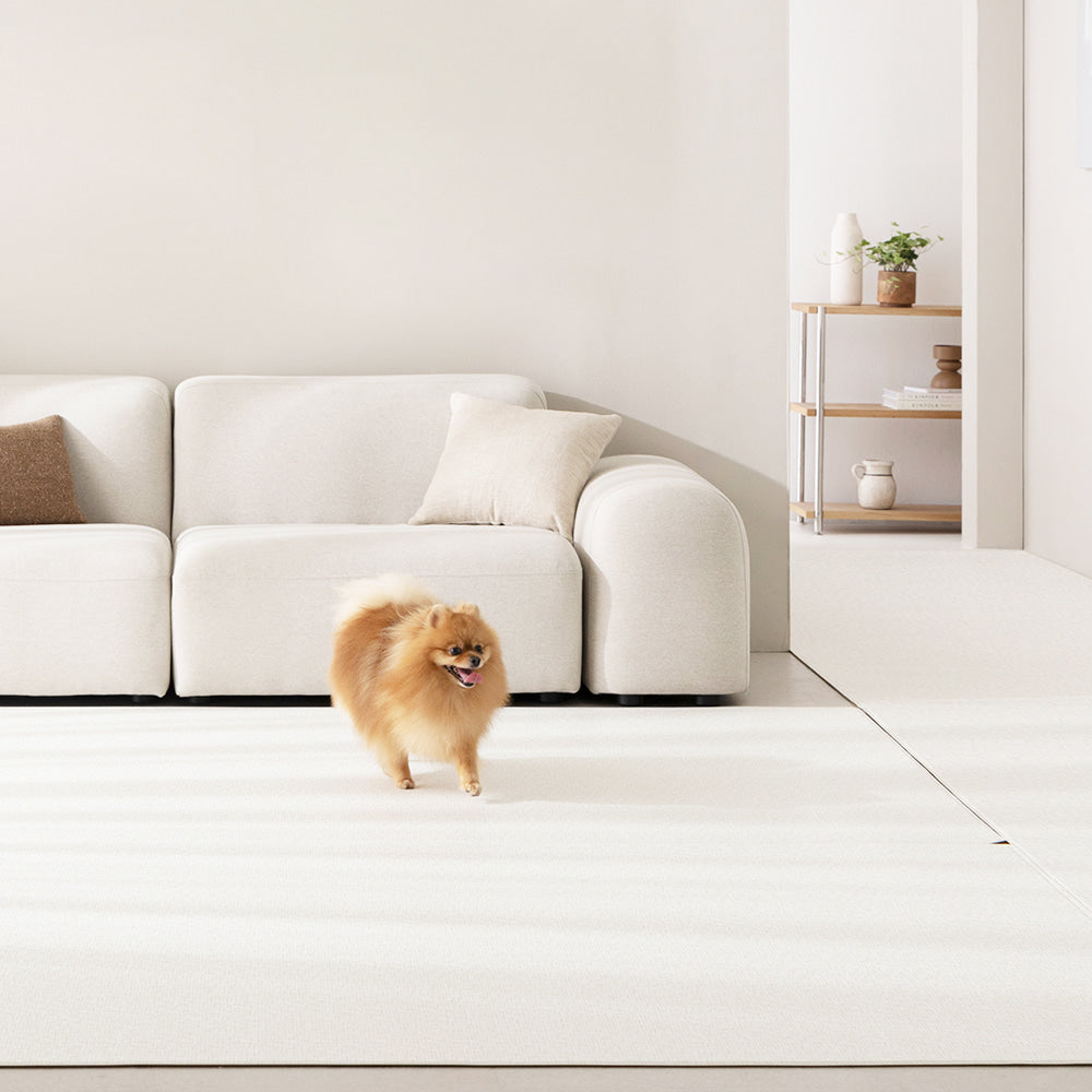 Modern Non-Slip Pet Rug