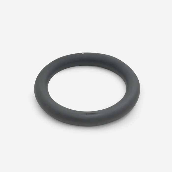 Pet Gym Ball [Pre-Order]