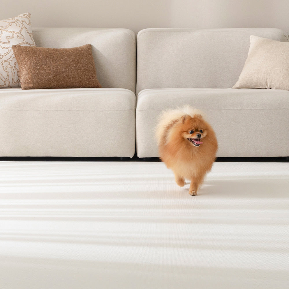 Modern Non-Slip Pet Rug
