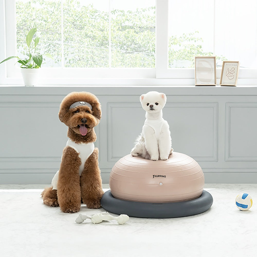 Pet Gym Ball [Pre-Order]