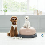 Pet Gym Ball [Pre-Order]