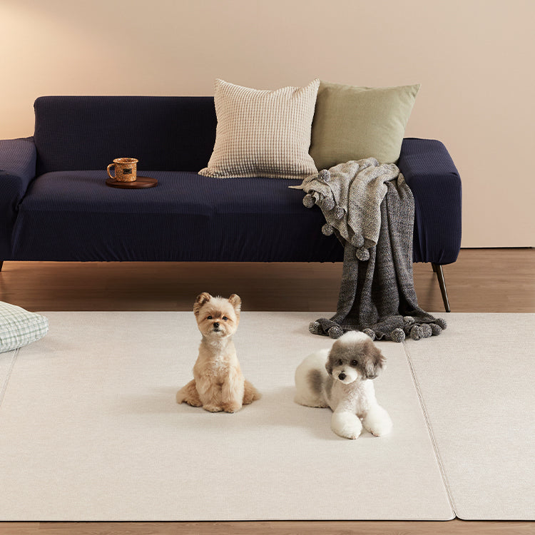 Modern Non-Slip Pet Rug