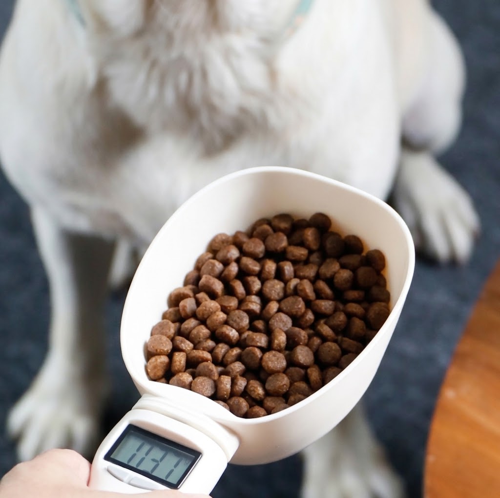 Digital Weighing Scoop 800g