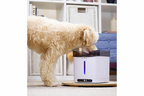 Aclium Dog Water Fountain (Cordless)