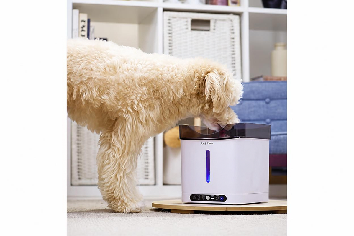Aclium Dog Water Fountain (Cordless)
