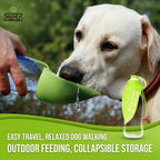 Leaf Foldable Water Bottle - 580ml