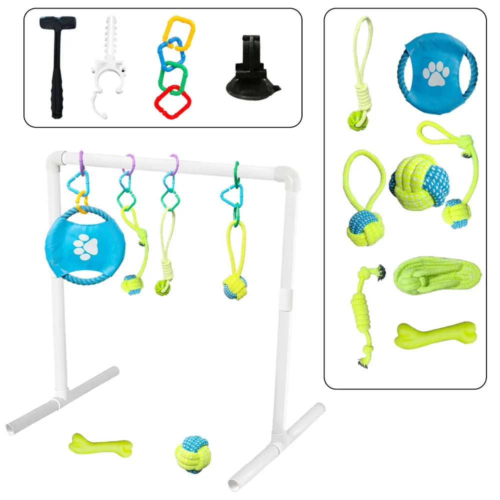 Puppy Sensory Play Gym