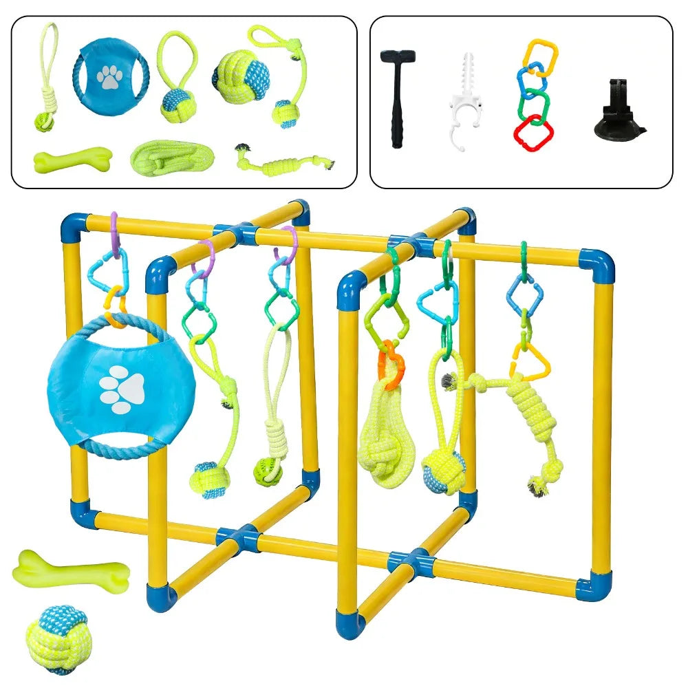 Puppy Sensory Play Gym