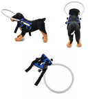 Anti-Collision Collar