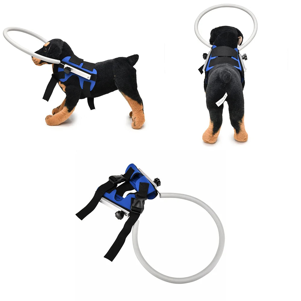 Anti-Collision Collar