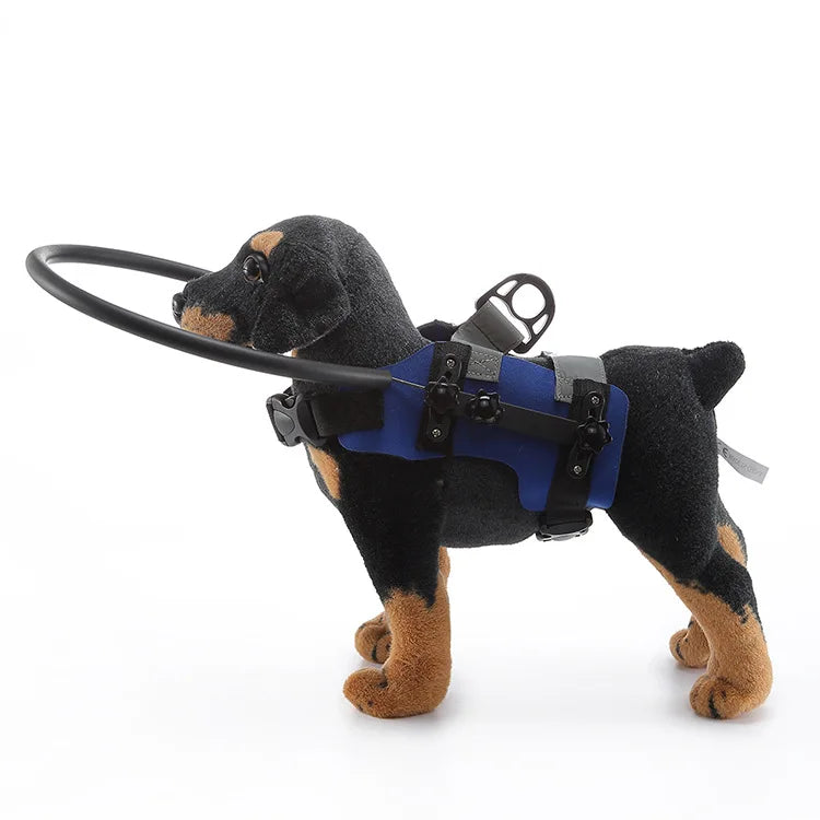 Anti-Collision Collar