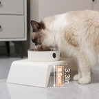Elevated Pet Feeder Bowls With Raised Stand