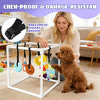 Puppy Sensory Play Gym