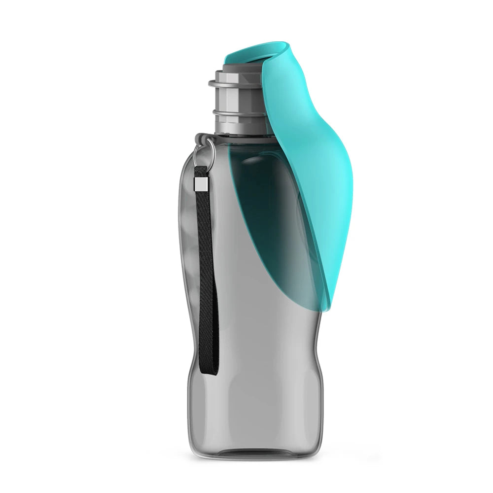 Pet Water Bottle - 800ml
