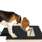 Dog Scratching Board