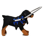 Anti-Collision Collar