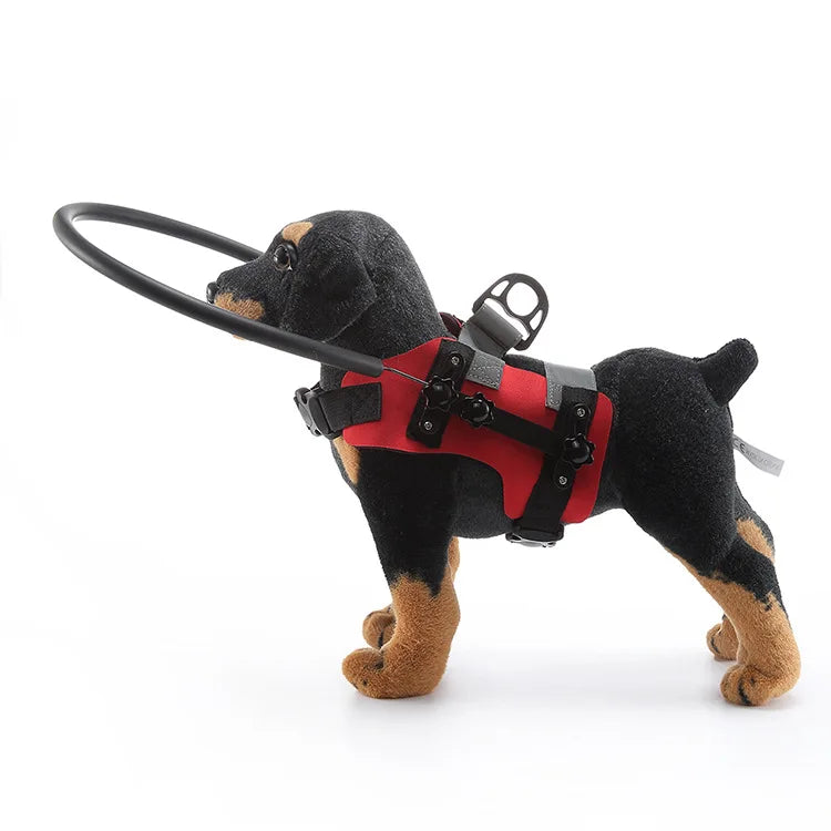 Anti-Collision Collar