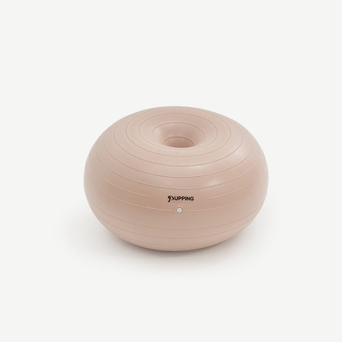 Pet Gym Ball [Pre-Order]