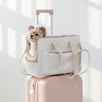 Everyday Pet Carrier  [Pre-Order]