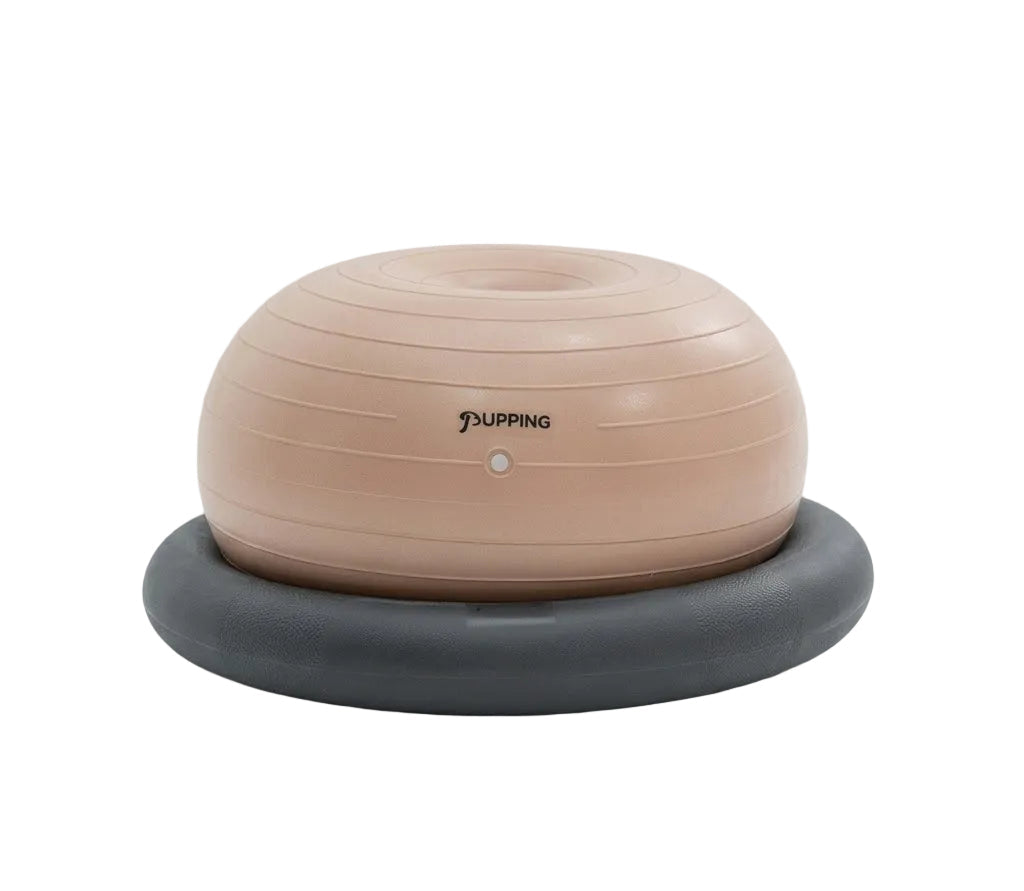 Pet Gym Ball [Pre-Order]