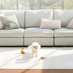 5-Fold Non-Slip Pet Play Mat (240 x 140 x 0.6cm)