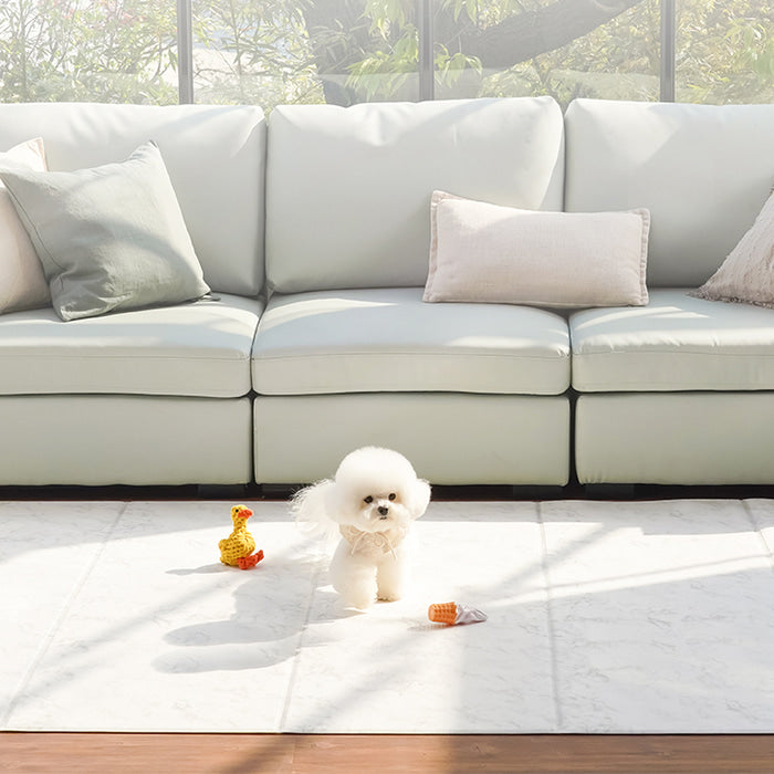 5-Fold Non-Slip Pet Play Mat (240 x 140 x 0.6cm)