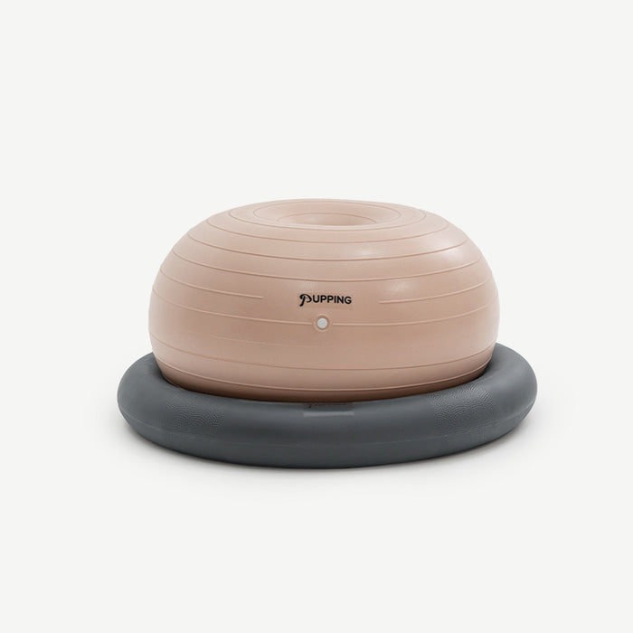 Pet Gym Ball [Pre-Order]
