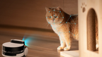 Rola Petpal Companion Robot with Treat Dispenser