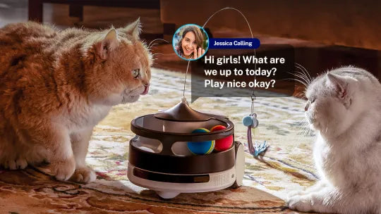 Rola Petpal Companion Robot with Treat Dispenser