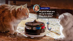 Rola Petpal Companion Robot with Treat Dispenser