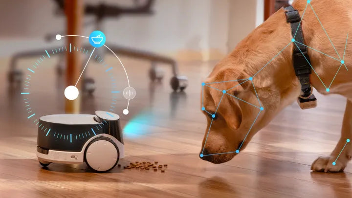 Rola Petpal Companion Robot with Treat Dispenser