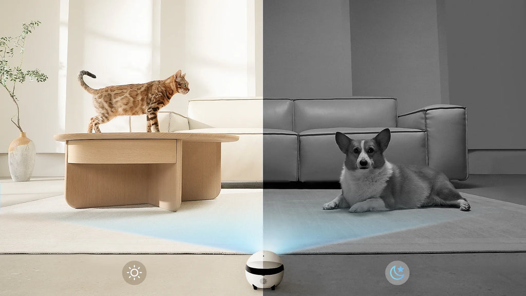 Rola Mini Smart Pet Companion Robot