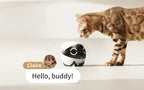Rola Mini Smart Pet Companion Robot