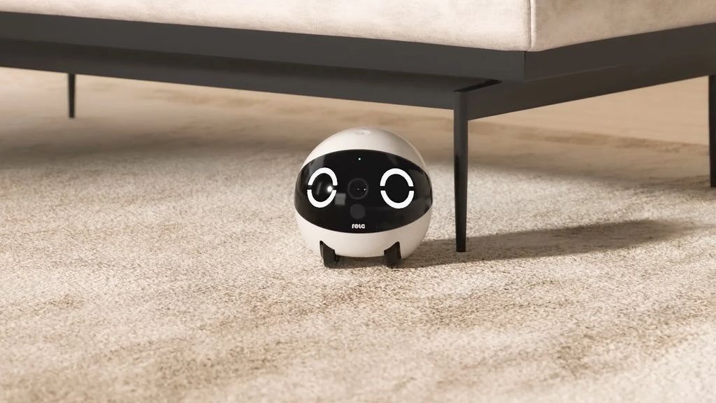 Rola Mini Smart Pet Companion Robot