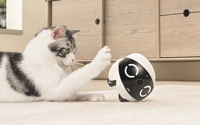 Rola Mini Smart Pet Companion Robot
